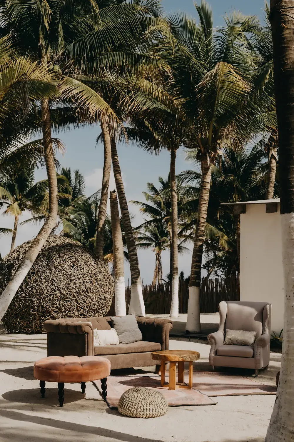 Outdoor lounge seating arranged beneath tall palms