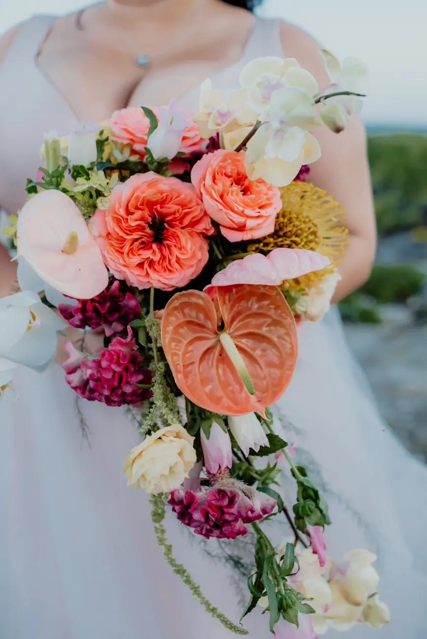 Cascading tropical bridal bouquet with anthuriums, orchids, garden roses and pincushion protea