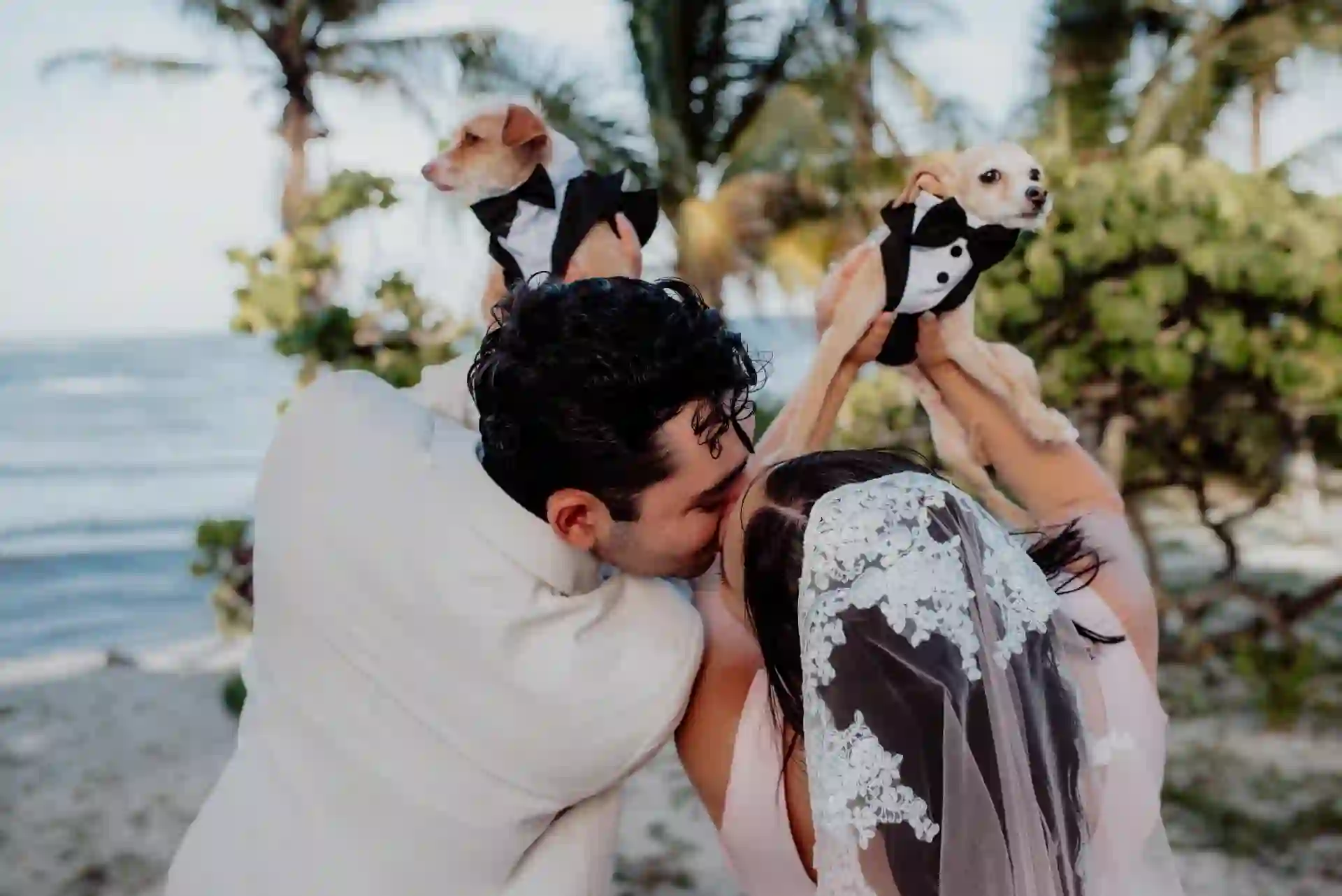 Irma and Hiram kissing on the beach while holding up their two small dogs dressed in black tuxedos