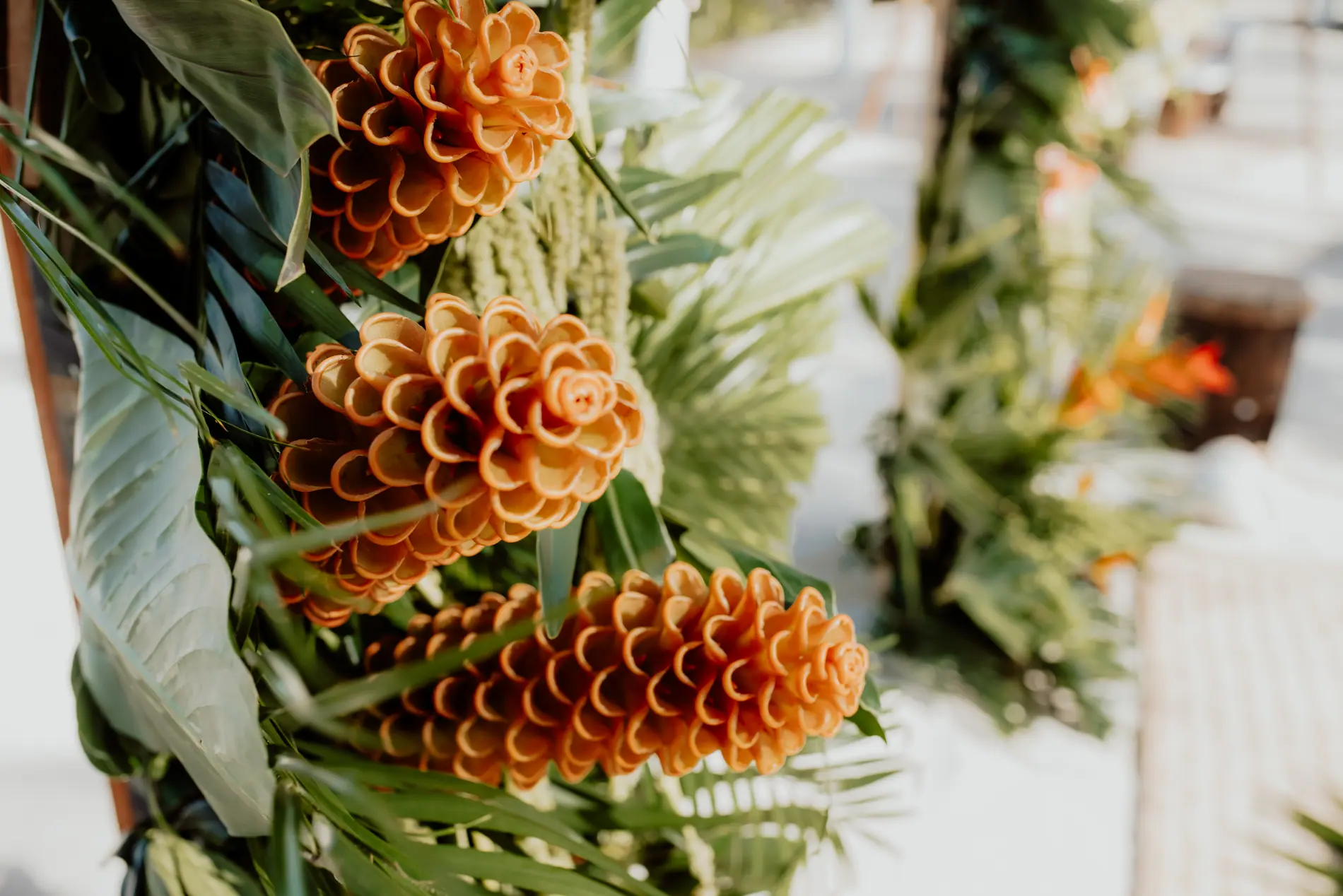 Orange torch ginger and tropical foliage on a ceremony installation beside the Caribbean Sea